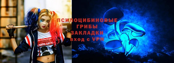прущая мука Новозыбков