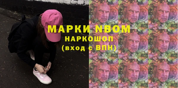 индика Аркадак