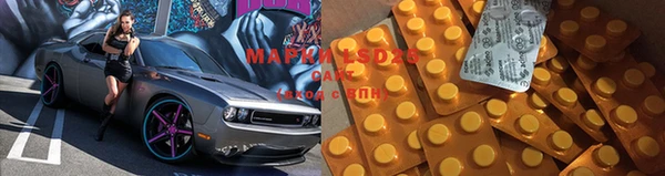 ECSTASY Нея