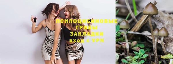 дмт Нефтекумск