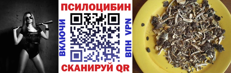 цена наркотик  Серафимович  Галлюциногенные грибы MAGIC MUSHROOMS 